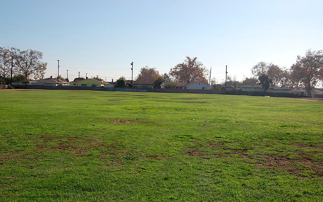 DSC 0383