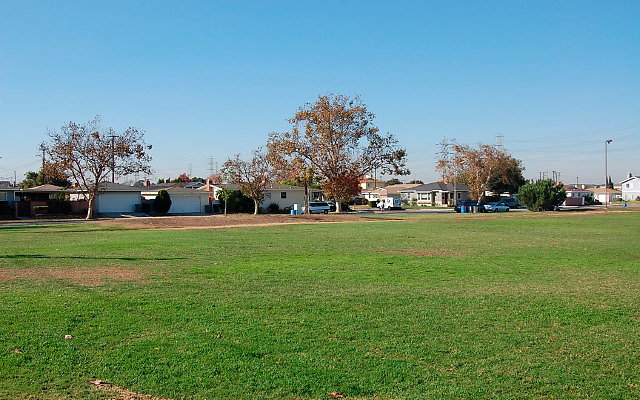 DSC 0375