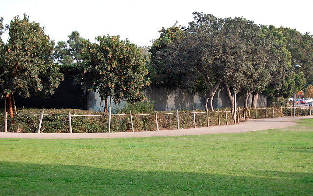 DSC 0265