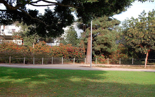 DSC 0263