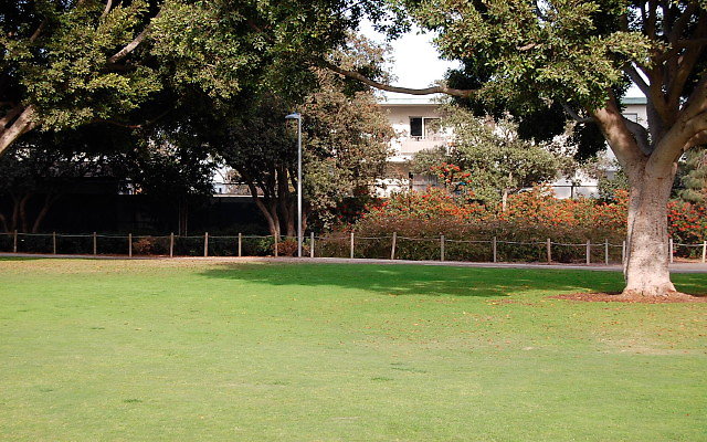 DSC 0256