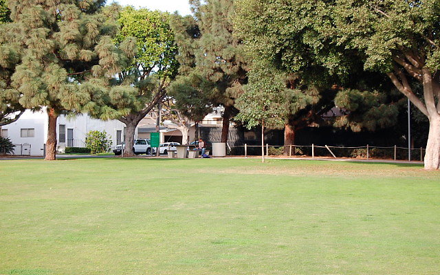 DSC 0255