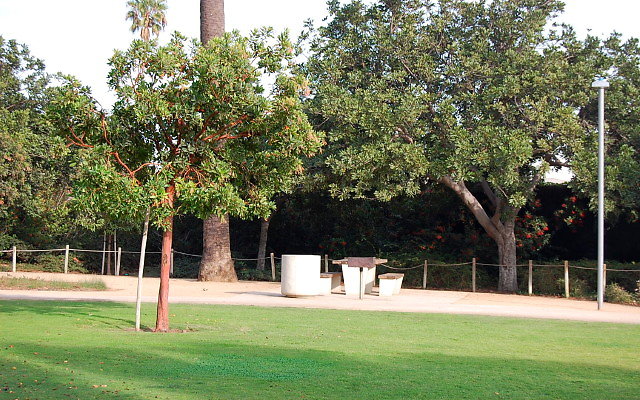 DSC 0264