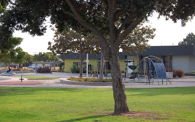 DSC 0268