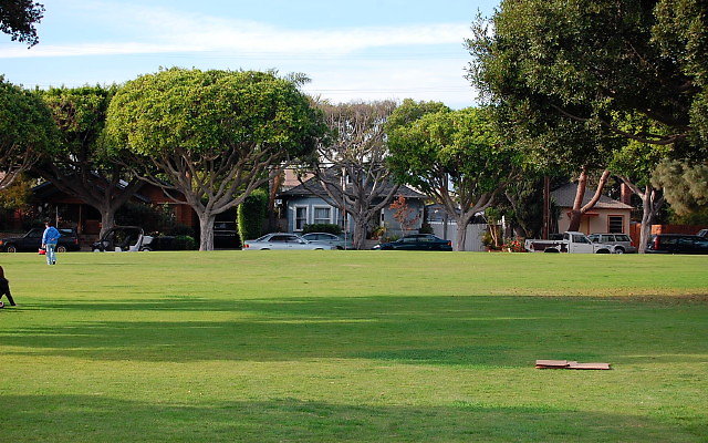 DSC 0275
