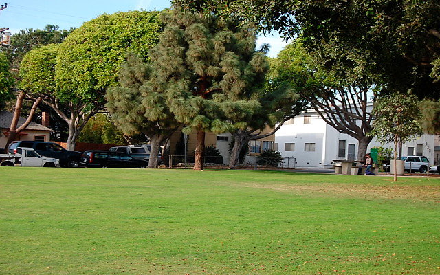 DSC 0261