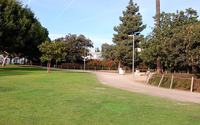 DSC 0273