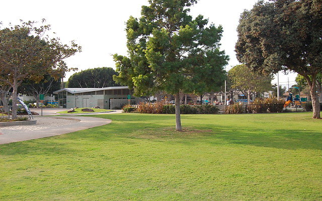 DSC 0271