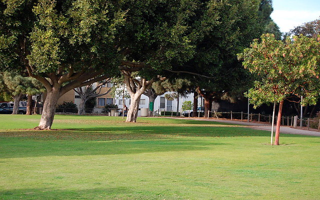 DSC 0276