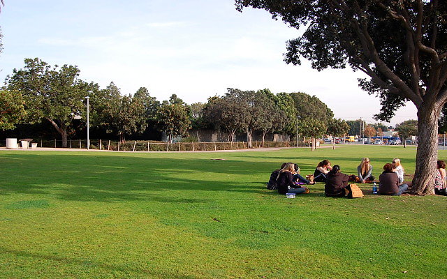 DSC 0254