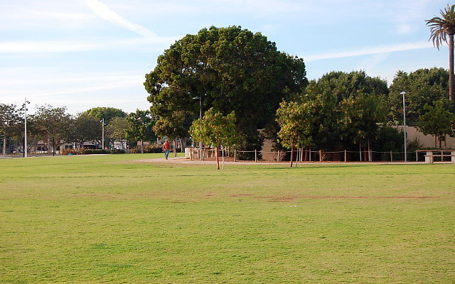 DSC 0286