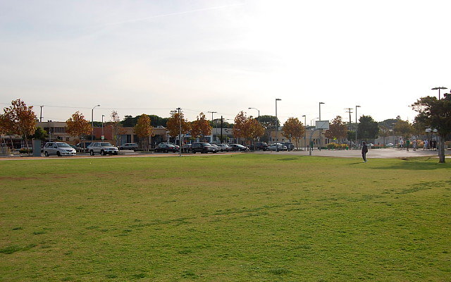 DSC 0279