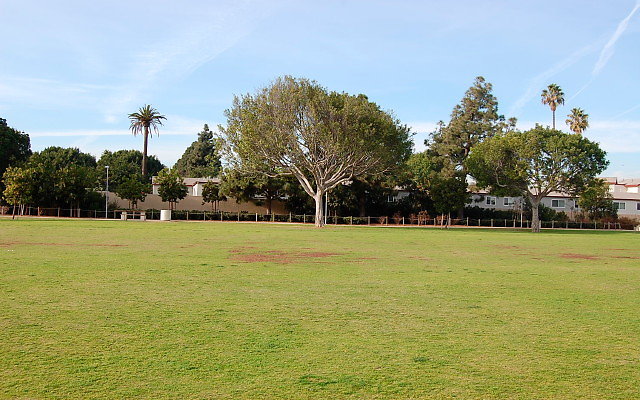DSC 0284