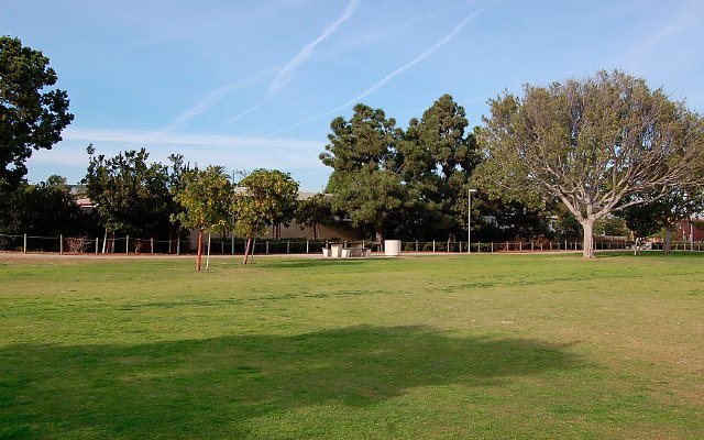 DSC 0296