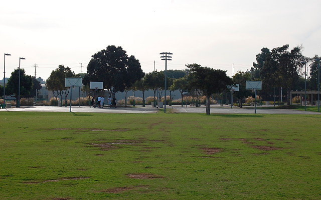 DSC 0294