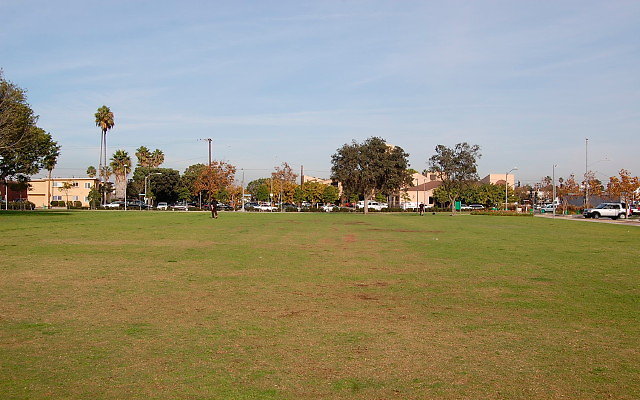 DSC 0297