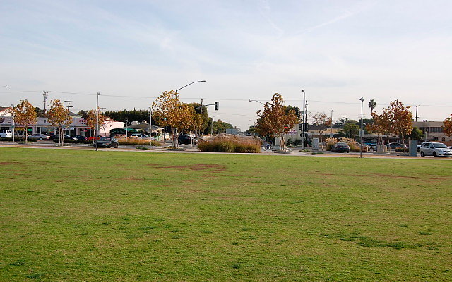 DSC 0278