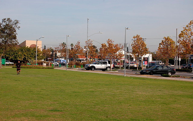 DSC 0301