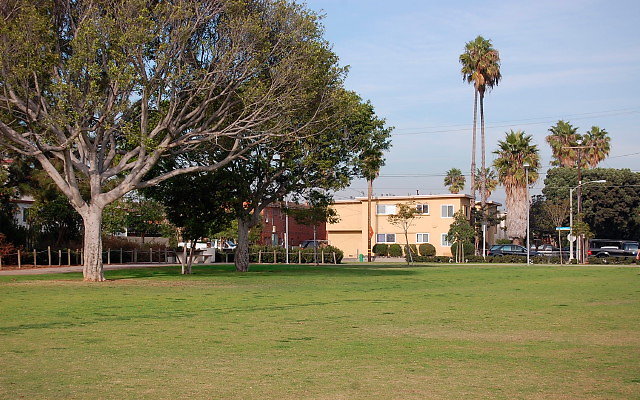 DSC 0299