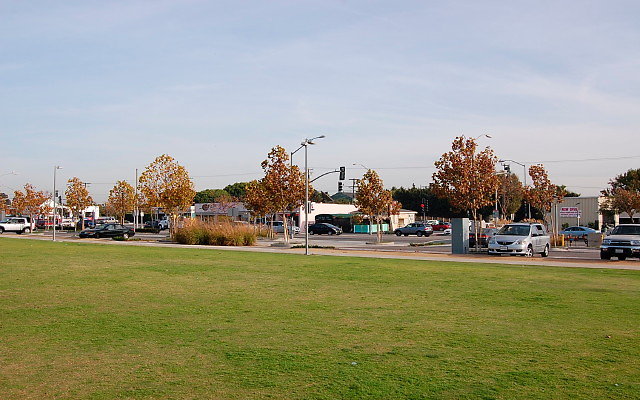 DSC 0298