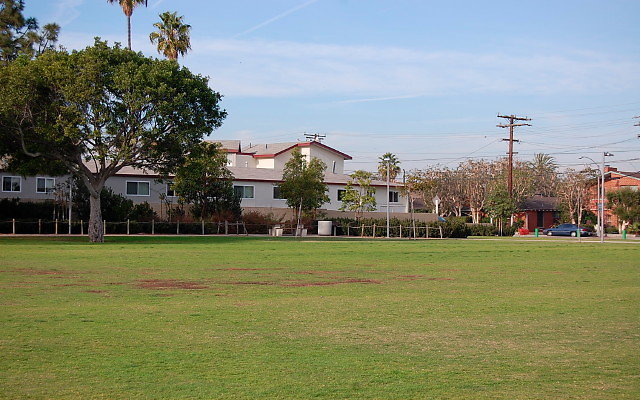 DSC 0288