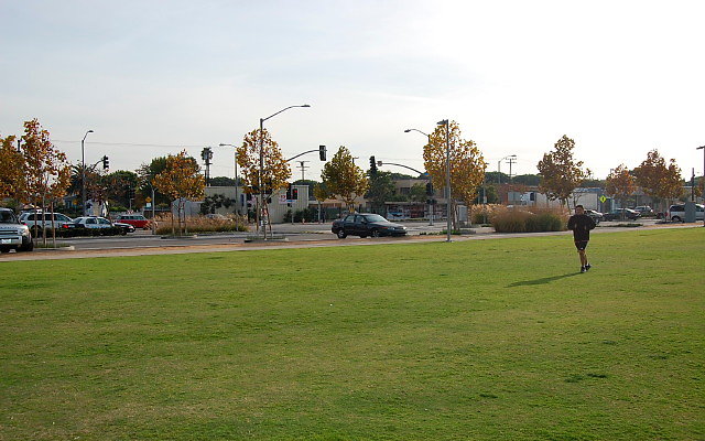 DSC 0290