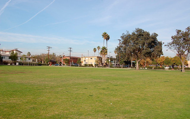 DSC 0285