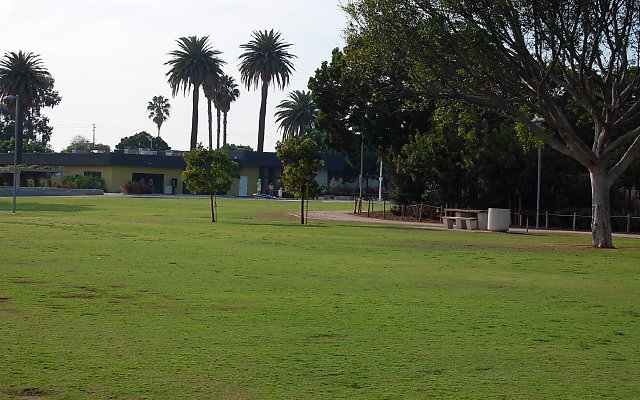 DSC 0295