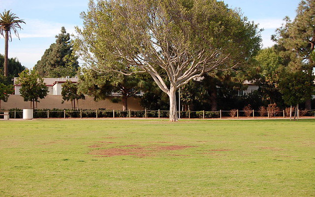 DSC 0287