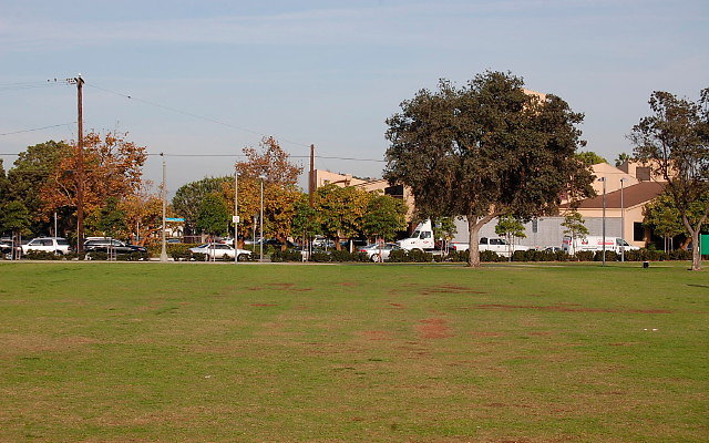 DSC 0300