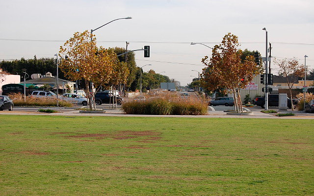 DSC 0281