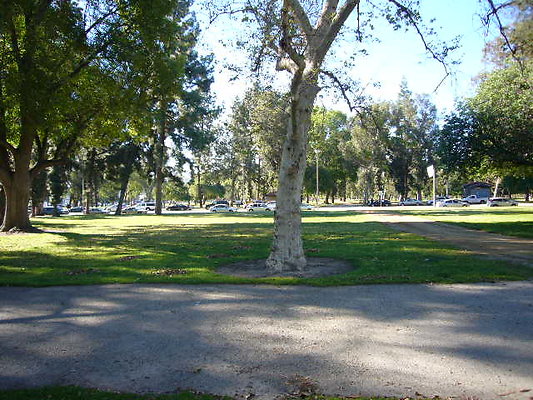 P1080488