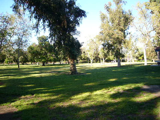 P1080492