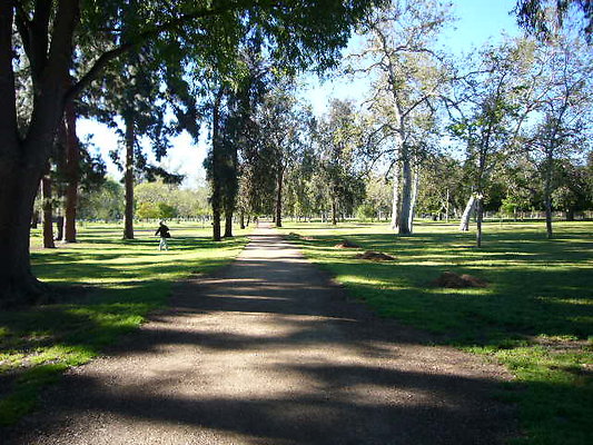 P1080491