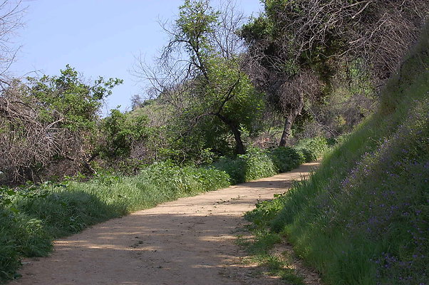 DSC 0474
