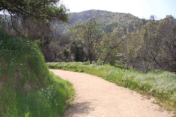 DSC 0480