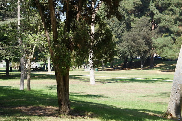 DSC09205
