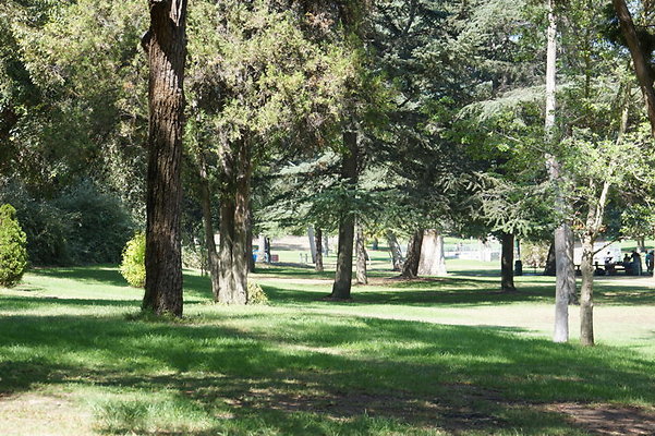 DSC09204