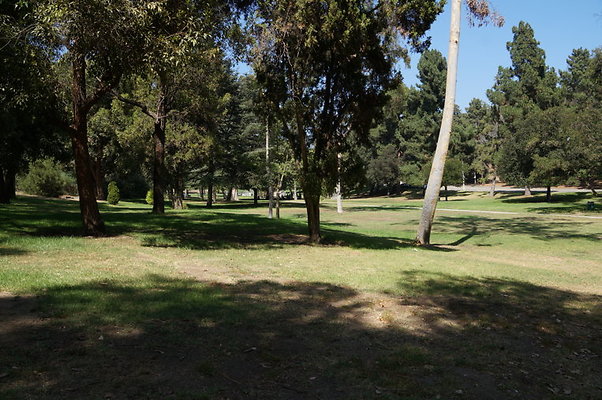 DSC09206