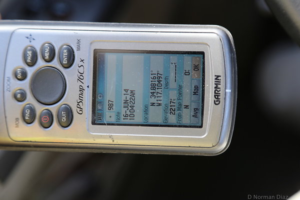 DND-zIMG 6064
