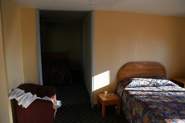 IMG 7334