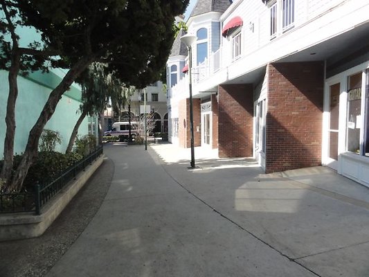 DSC05524