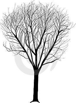 Lone Tree