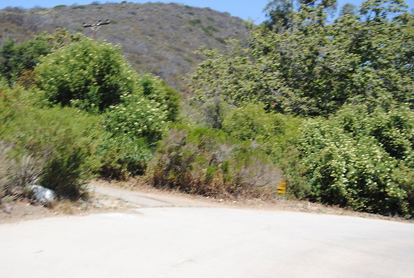 DSC 0138