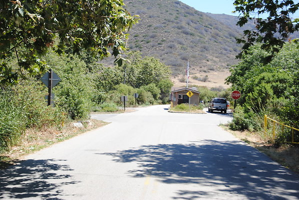 DSC 0141