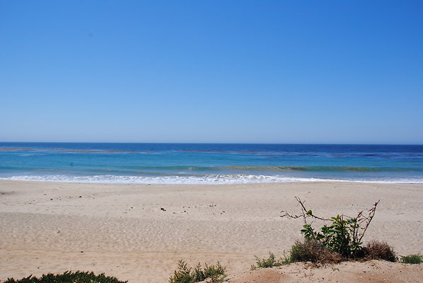 DSC 0105