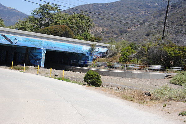 DSC 0134