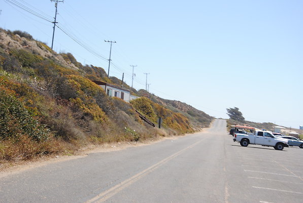 DSC 0117