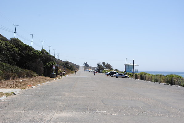 DSC 0113