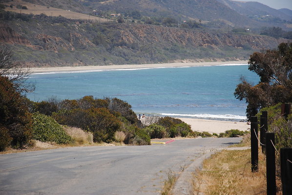 DSC 0170
